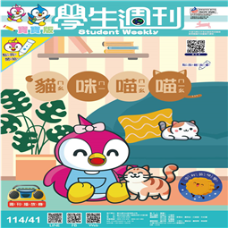 第41-44週