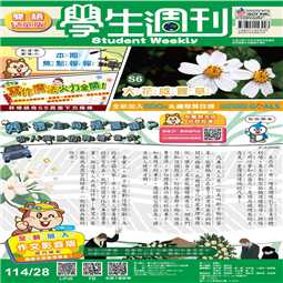 第28-31週