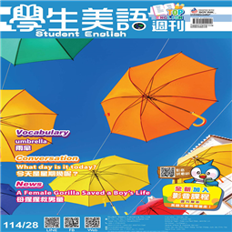 第28-31週