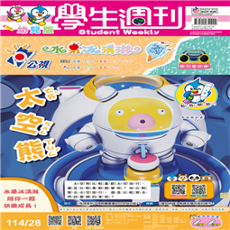 第28-31週