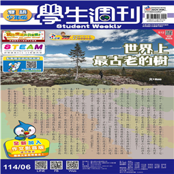 第06-09週